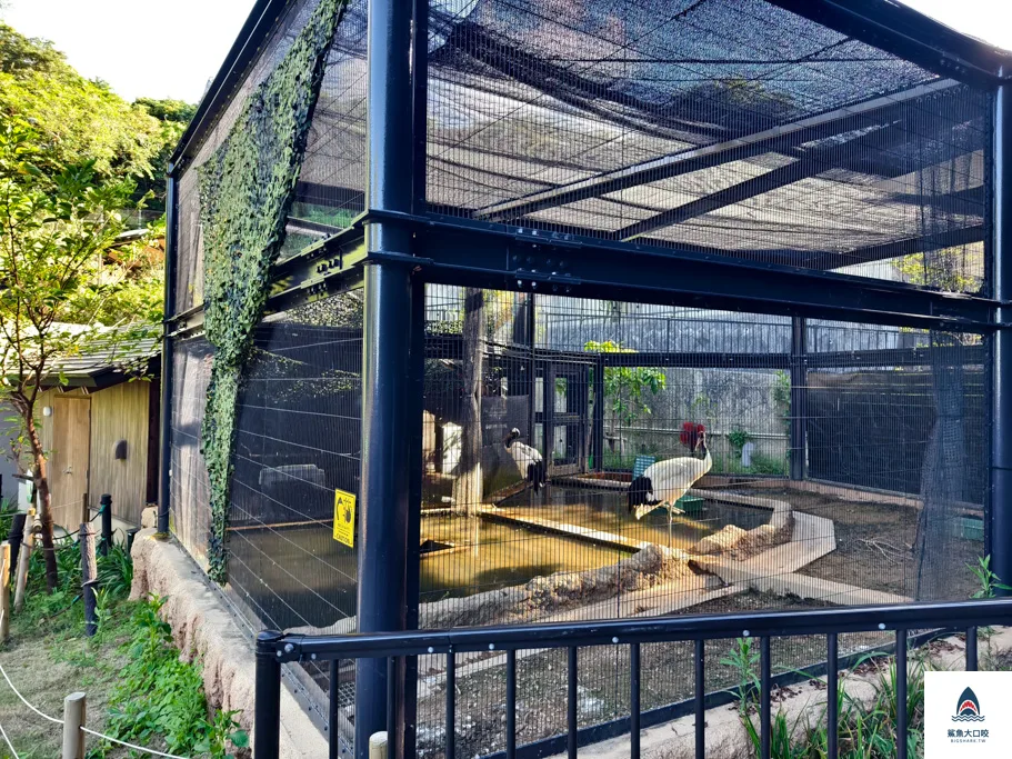 沖繩動物園,沖繩兒童王國門票,沖繩兒童王國交通,沖繩親子景點,沖繩景點推薦,沖繩兒童王國 @鯊魚大口咬