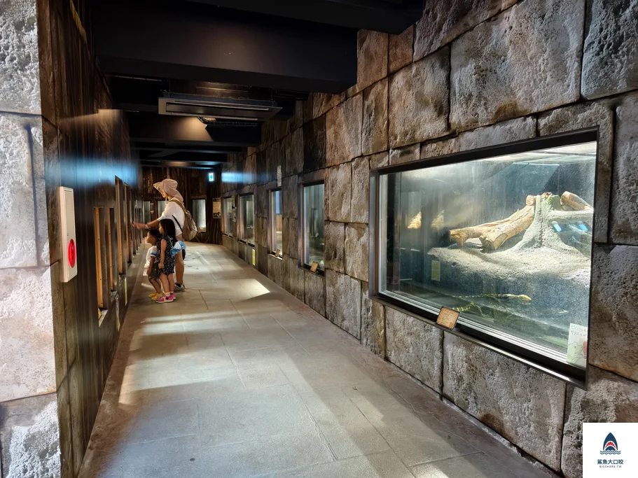 沖繩動物園,沖繩兒童王國門票,沖繩兒童王國交通,沖繩親子景點,沖繩景點推薦,沖繩兒童王國 @鯊魚大口咬 沖繩動物園,沖繩兒童王國門票,沖繩兒童王國交通,沖繩親子景點,沖繩景點推薦,沖繩兒童王國 @鯊魚大口咬