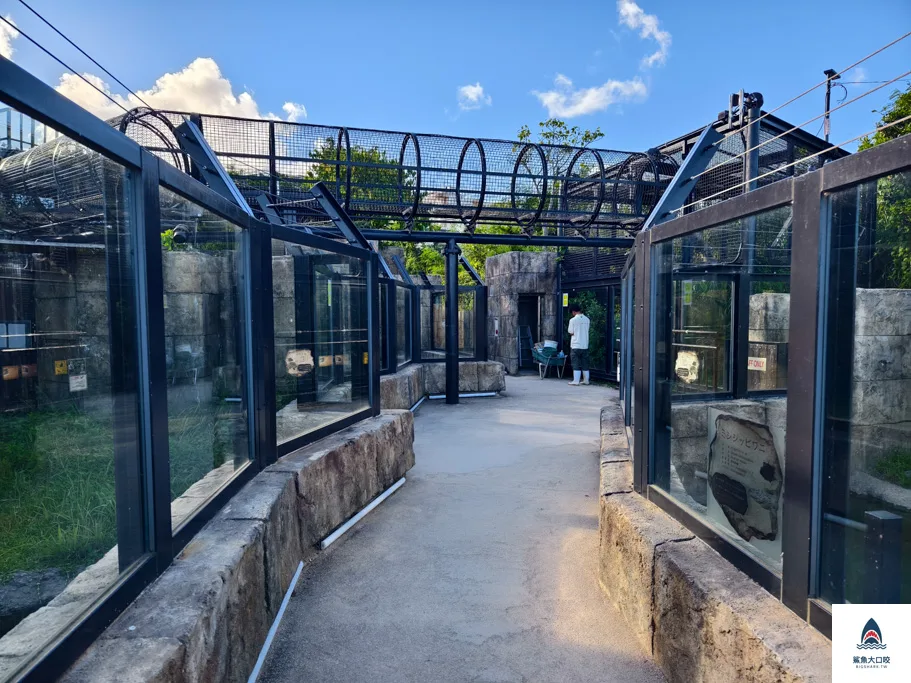 沖繩動物園,沖繩兒童王國門票,沖繩兒童王國交通,沖繩親子景點,沖繩景點推薦,沖繩兒童王國 @鯊魚大口咬 沖繩動物園,沖繩兒童王國門票,沖繩兒童王國交通,沖繩親子景點,沖繩景點推薦,沖繩兒童王國 @鯊魚大口咬