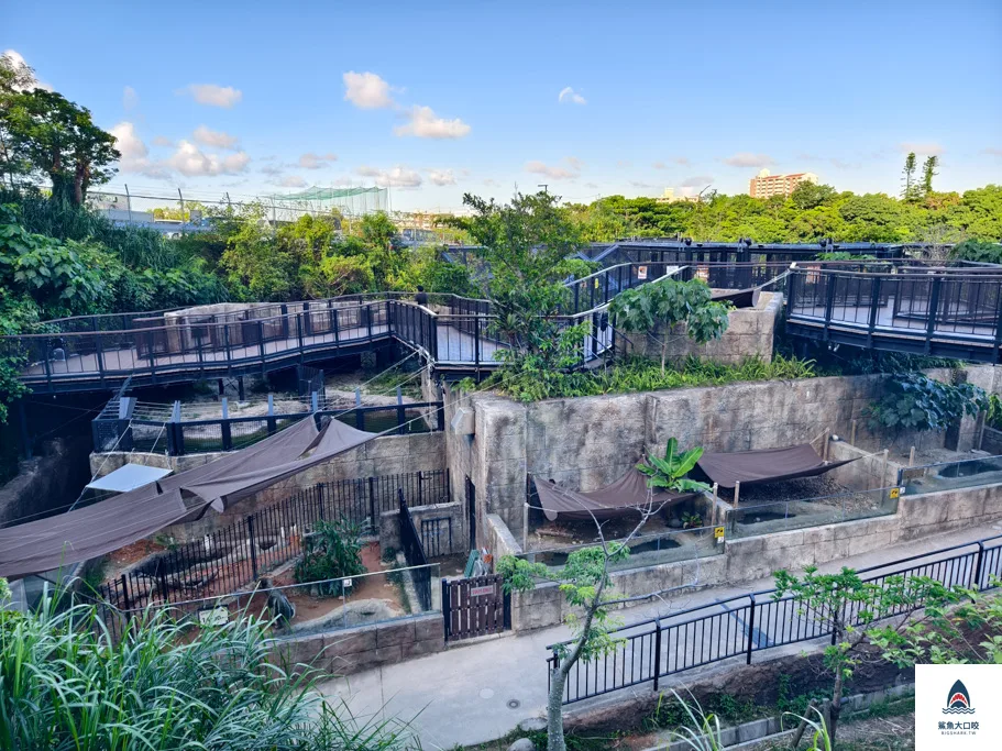 沖繩動物園,沖繩兒童王國門票,沖繩兒童王國交通,沖繩親子景點,沖繩景點推薦,沖繩兒童王國 @鯊魚大口咬 沖繩動物園,沖繩兒童王國門票,沖繩兒童王國交通,沖繩親子景點,沖繩景點推薦,沖繩兒童王國 @鯊魚大口咬