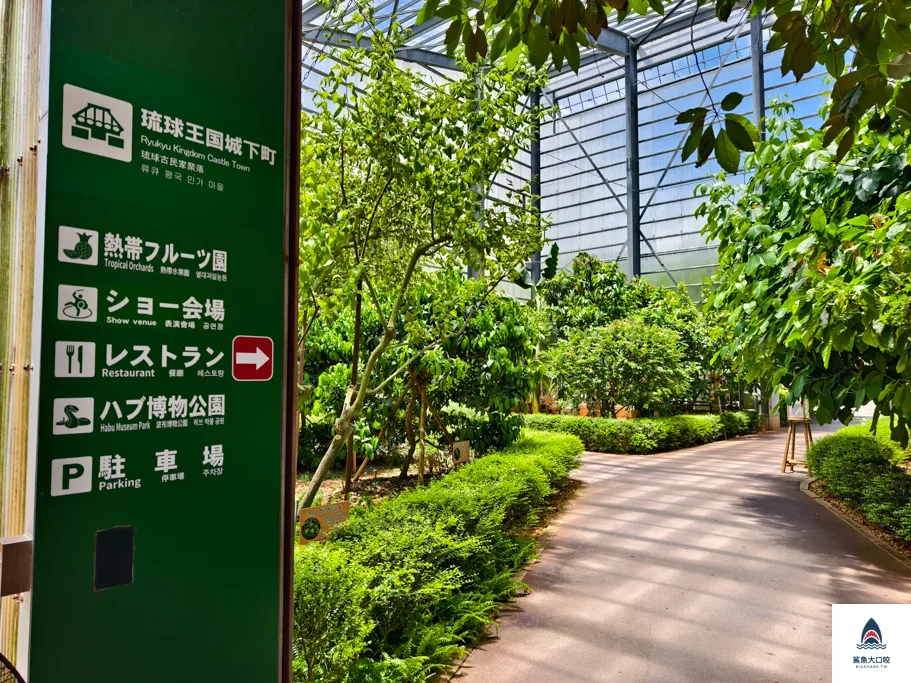 沖繩景點,沖繩自駕,沖繩親子,沖繩南部景點,沖繩玉泉洞,沖繩王國村 @鯊魚大口咬