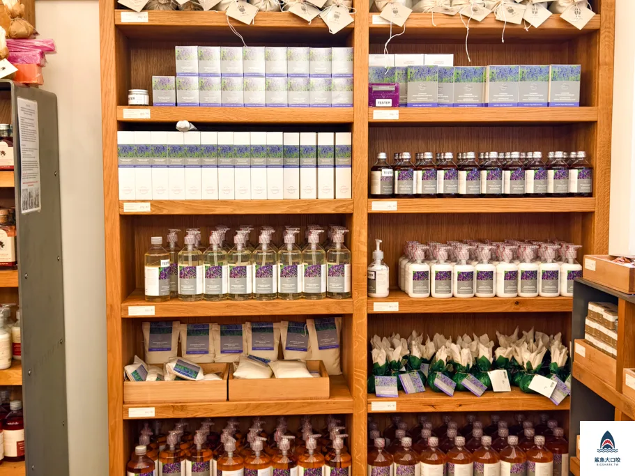 BOTANICUS必買,菠丹妮總店,捷克菠丹妮,布拉格菠丹妮總店,布拉格BOTANICUS,菠丹妮推薦 @鯊魚大口咬 BOTANICUS必買,菠丹妮總店,捷克菠丹妮,布拉格菠丹妮總店,布拉格BOTANICUS,菠丹妮推薦 @鯊魚大口咬