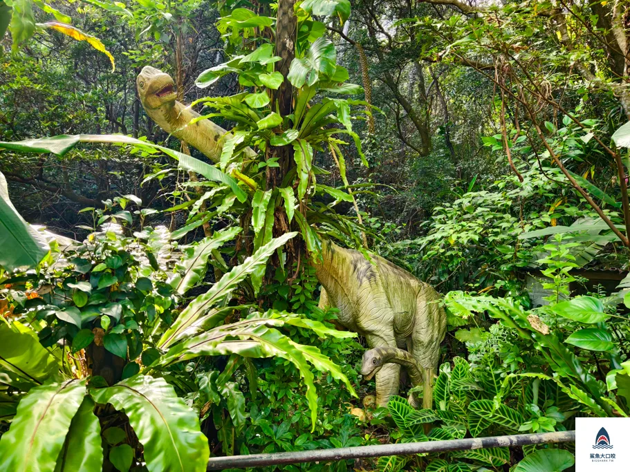 沖繩恐龍公園門票,沖繩DIno恐龍公園門票,沖繩景點推薦,沖繩必去,沖繩必玩 @鯊魚大口咬