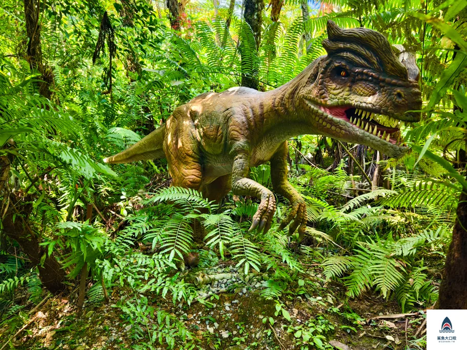 沖繩恐龍公園門票,沖繩DIno恐龍公園門票,沖繩景點推薦,沖繩必去,沖繩必玩 @鯊魚大口咬
