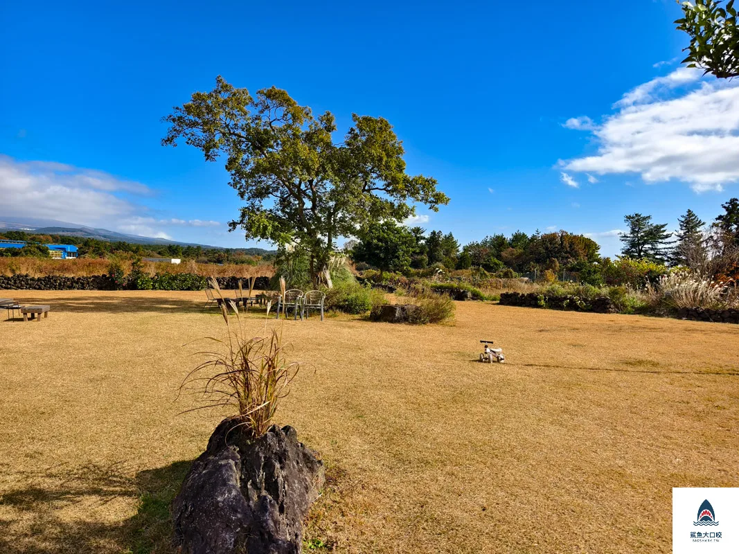 Cafe Eulli,濟州島咖啡廳,濟州咖啡廳,濟州網美咖啡廳,山茶花之丘咖啡廳 @鯊魚大口咬