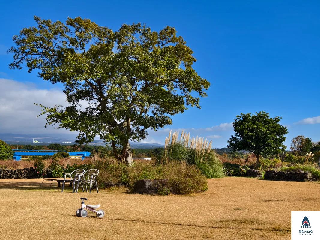 Cafe Eulli,濟州島咖啡廳,濟州咖啡廳,濟州網美咖啡廳,山茶花之丘咖啡廳 @鯊魚大口咬
