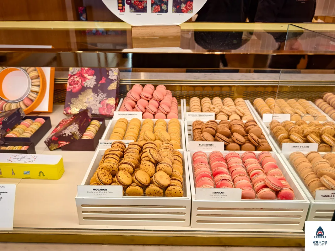 Pierre Hermé聖心堂,Pierre Hermé Mont-Cenis,Pierre Hermé @鯊魚大口咬 Pierre Hermé聖心堂,Pierre Hermé Mont-Cenis,Pierre Hermé @鯊魚大口咬