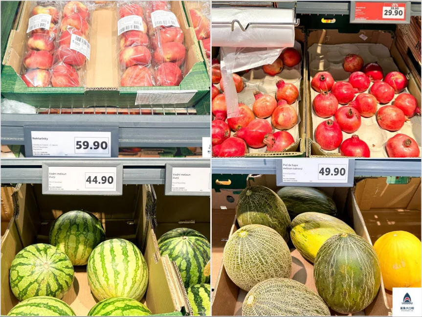 捷克lidl @鯊魚大口咬 捷克lidl @鯊魚大口咬