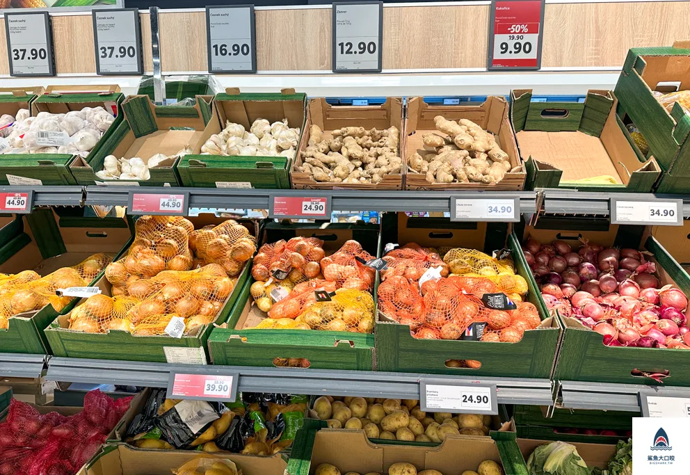 捷克lidl @鯊魚大口咬 捷克lidl @鯊魚大口咬