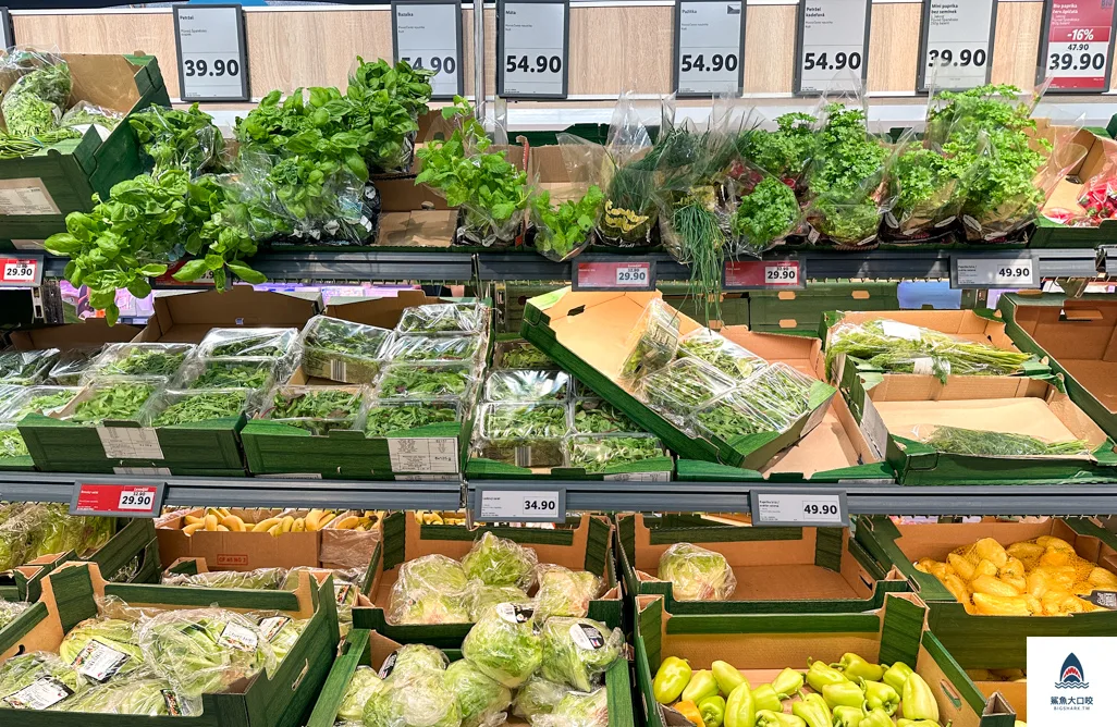 捷克lidl @鯊魚大口咬 捷克lidl @鯊魚大口咬