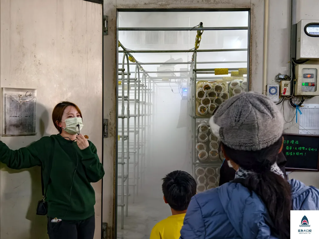 豐年靈芝菇類生態農場,南投埔里景點豐年靈芝菇類生態農場,南投埔里景點 @鯊魚大口咬 豐年靈芝菇類生態農場,南投埔里景點豐年靈芝菇類生態農場,南投埔里景點 @鯊魚大口咬