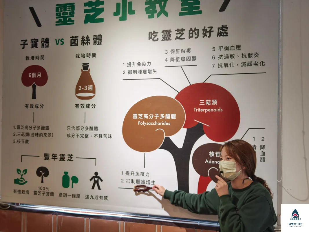 豐年靈芝菇類生態農場,南投埔里景點豐年靈芝菇類生態農場,南投埔里景點 @鯊魚大口咬