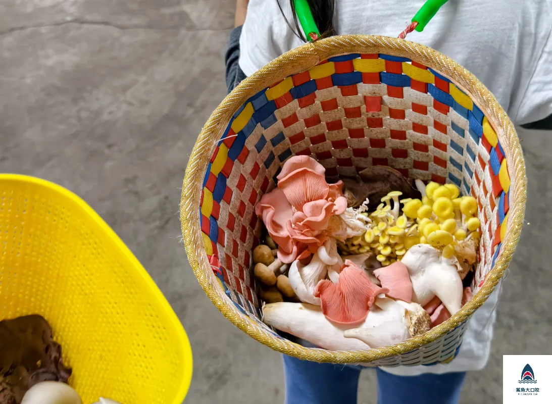 豐年靈芝菇類生態農場,南投埔里景點豐年靈芝菇類生態農場,南投埔里景點 @鯊魚大口咬