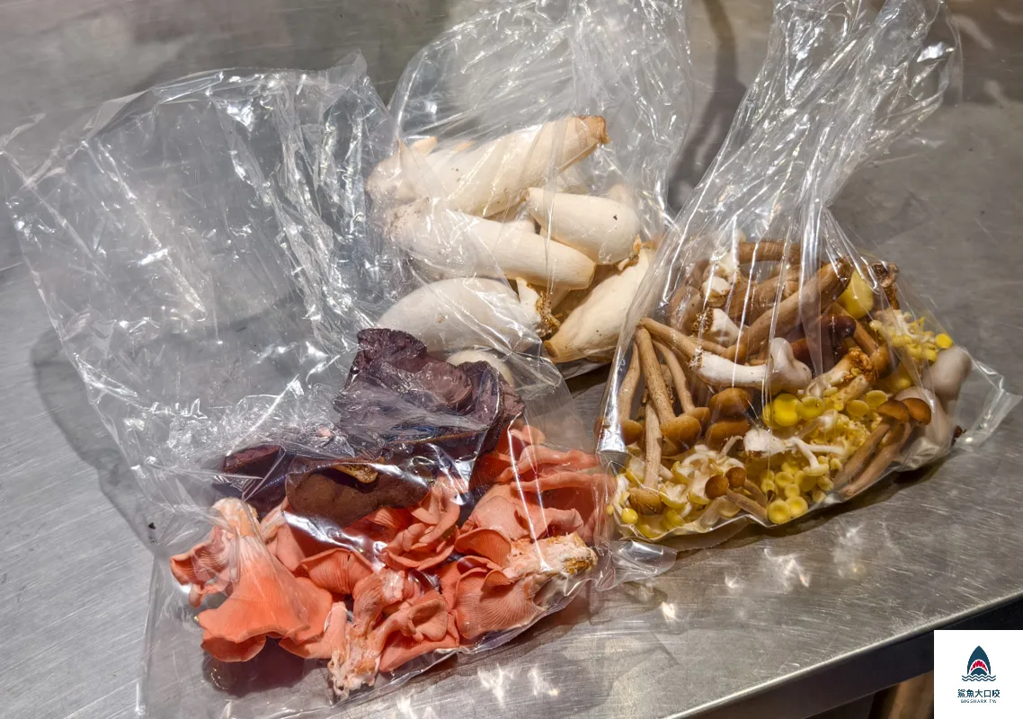 豐年靈芝菇類生態農場,南投埔里景點豐年靈芝菇類生態農場,南投埔里景點 @鯊魚大口咬 豐年靈芝菇類生態農場,南投埔里景點豐年靈芝菇類生態農場,南投埔里景點 @鯊魚大口咬