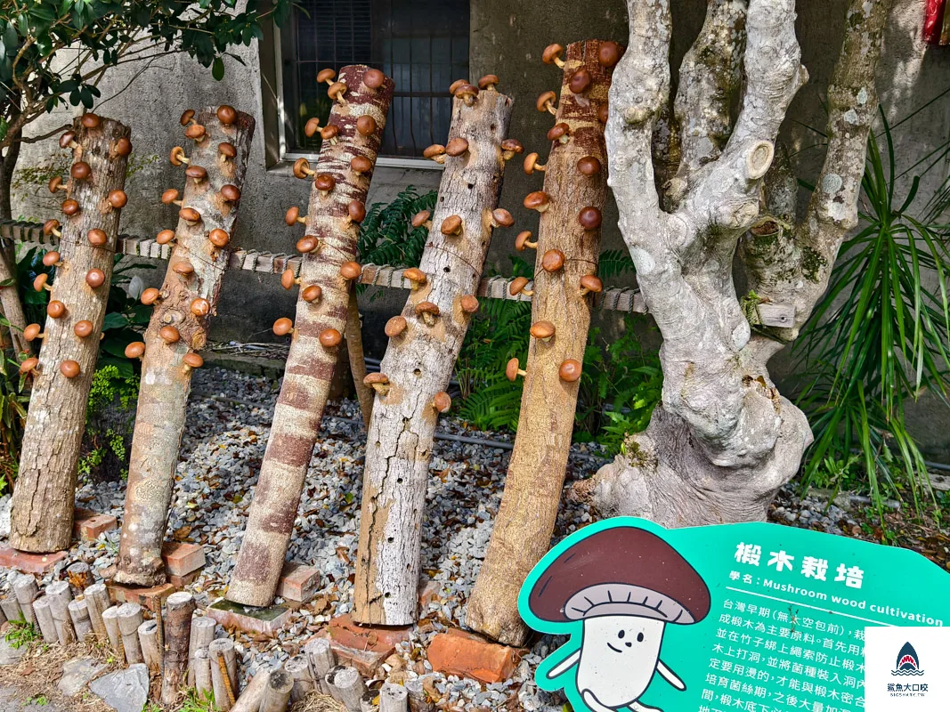 豐年靈芝菇類生態農場,南投埔里景點豐年靈芝菇類生態農場,南投埔里景點 @鯊魚大口咬 豐年靈芝菇類生態農場,南投埔里景點豐年靈芝菇類生態農場,南投埔里景點 @鯊魚大口咬