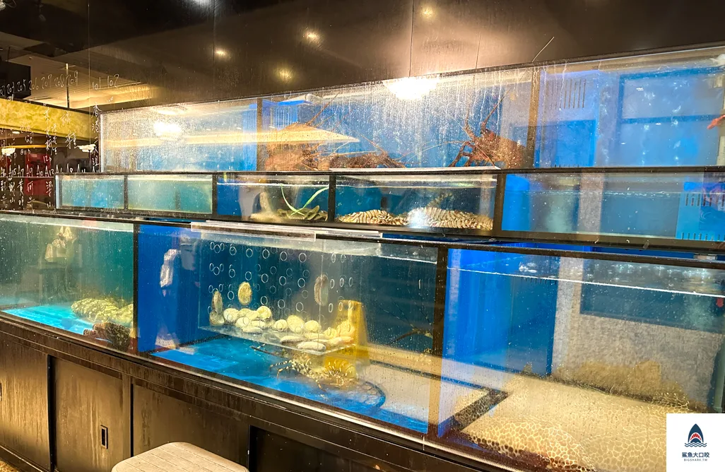 台北港式料理,松江南京站美食,竹家莊避風塘漁家料理 @鯊魚大口咬 台北港式料理,松江南京站美食,竹家莊避風塘漁家料理 @鯊魚大口咬