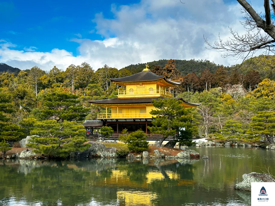 京都景點,金閣寺 @鯊魚大口咬