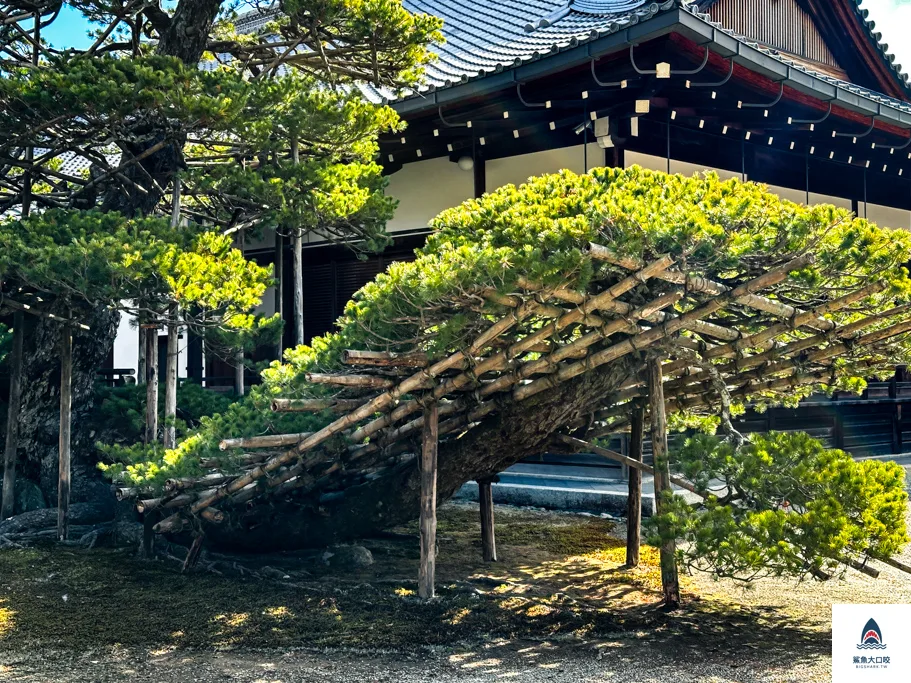 金閣寺,京都景點 @鯊魚大口咬 金閣寺,京都景點 @鯊魚大口咬