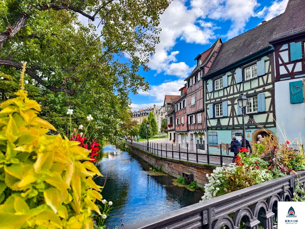 科爾瑪Colmar,科爾瑪,Colmar,科爾瑪Colmar一日遊 @鯊魚大口咬
