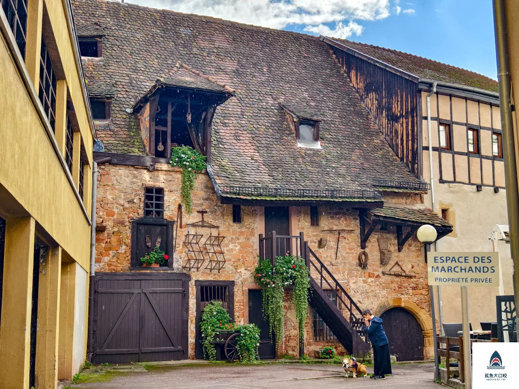 Colmar,科爾瑪Colmar一日遊,科爾瑪Colmar,科爾瑪 @鯊魚大口咬