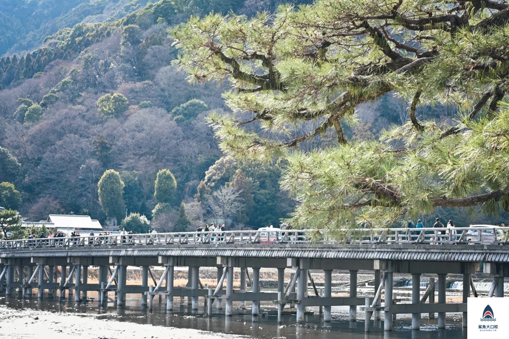 京都景點,京都美食,京都自由行攻略,京都一日遊 @鯊魚大口咬