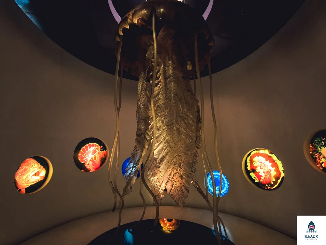 恐龍卡優惠,國立自然科學博物館,科博館恐龍卡,恐龍卡,恐龍卡申辦,申辦恐龍卡,恐龍卡費用,恐龍卡免費,恐龍卡卡費 @鯊魚大口咬