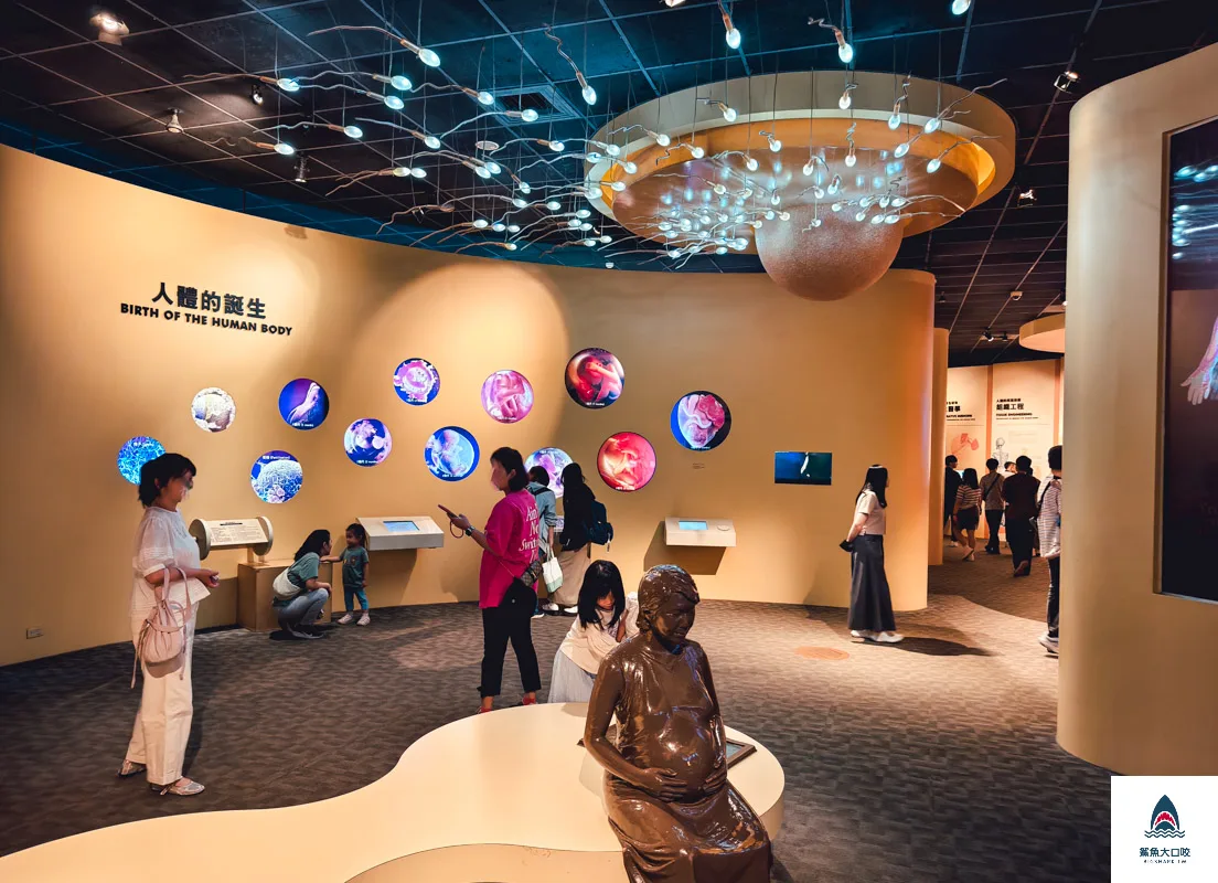 恐龍卡優惠,國立自然科學博物館,科博館恐龍卡,恐龍卡,恐龍卡申辦,申辦恐龍卡,恐龍卡費用,恐龍卡免費,恐龍卡卡費 @鯊魚大口咬
