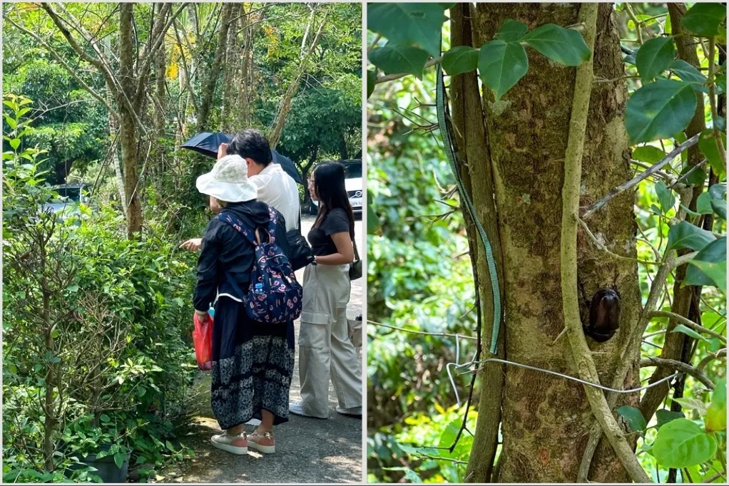 台中親子景點,郭叔叔獼猴生態區,大坑景點 @鯊魚大口咬 台中親子景點,郭叔叔獼猴生態區,大坑景點 @鯊魚大口咬