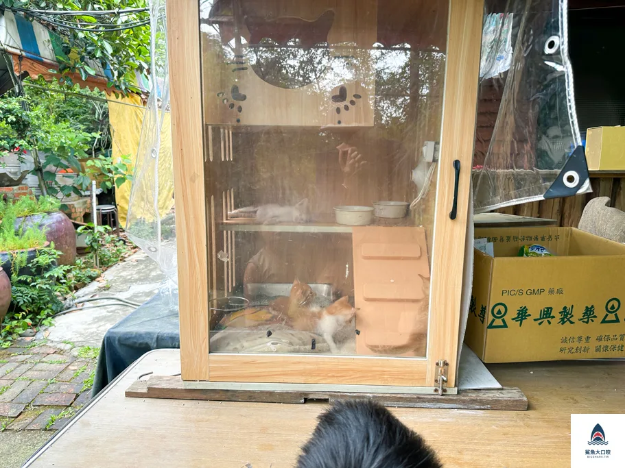 台中親子景點,郭叔叔獼猴生態區,大坑景點 @鯊魚大口咬 台中親子景點,郭叔叔獼猴生態區,大坑景點 @鯊魚大口咬