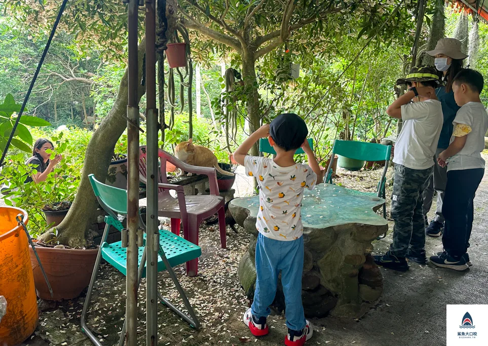 台中親子景點,郭叔叔獼猴生態區,大坑景點 @鯊魚大口咬 台中親子景點,郭叔叔獼猴生態區,大坑景點 @鯊魚大口咬