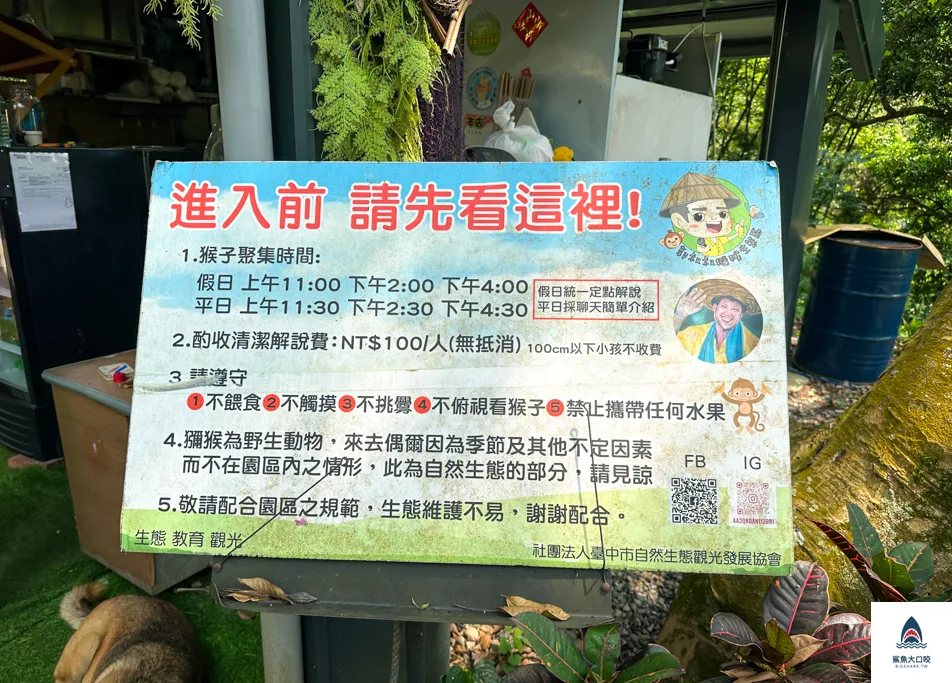 台中親子景點,郭叔叔獼猴生態區,大坑景點 @鯊魚大口咬 台中親子景點,郭叔叔獼猴生態區,大坑景點 @鯊魚大口咬