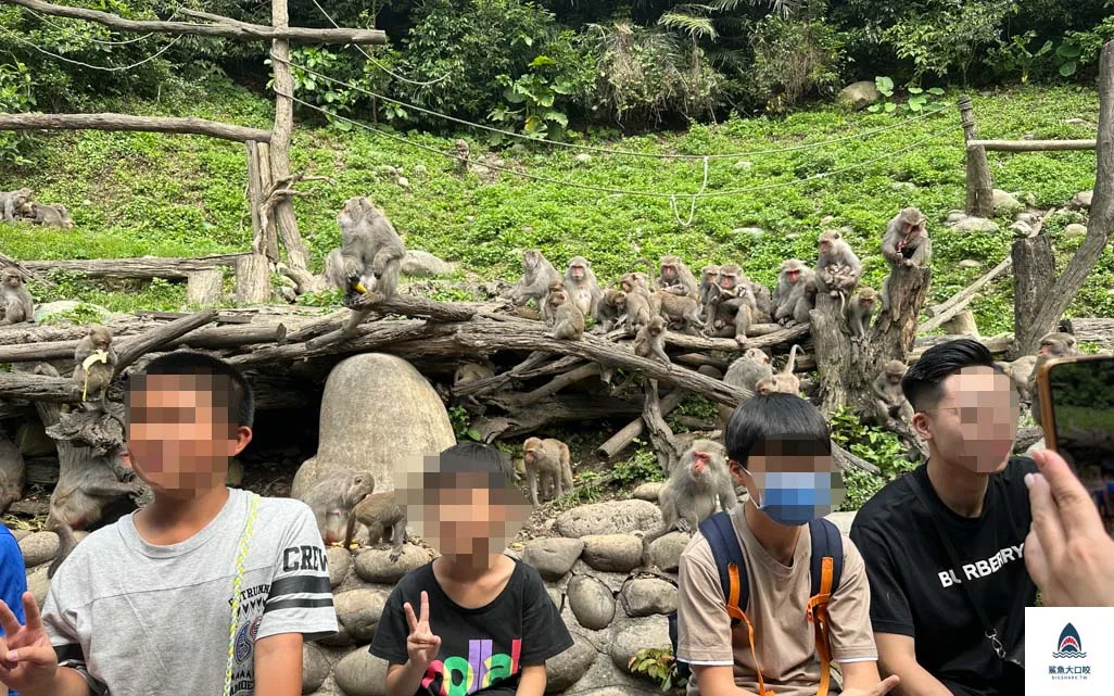 台中親子景點,郭叔叔獼猴生態區,大坑景點 @鯊魚大口咬 台中親子景點,郭叔叔獼猴生態區,大坑景點 @鯊魚大口咬