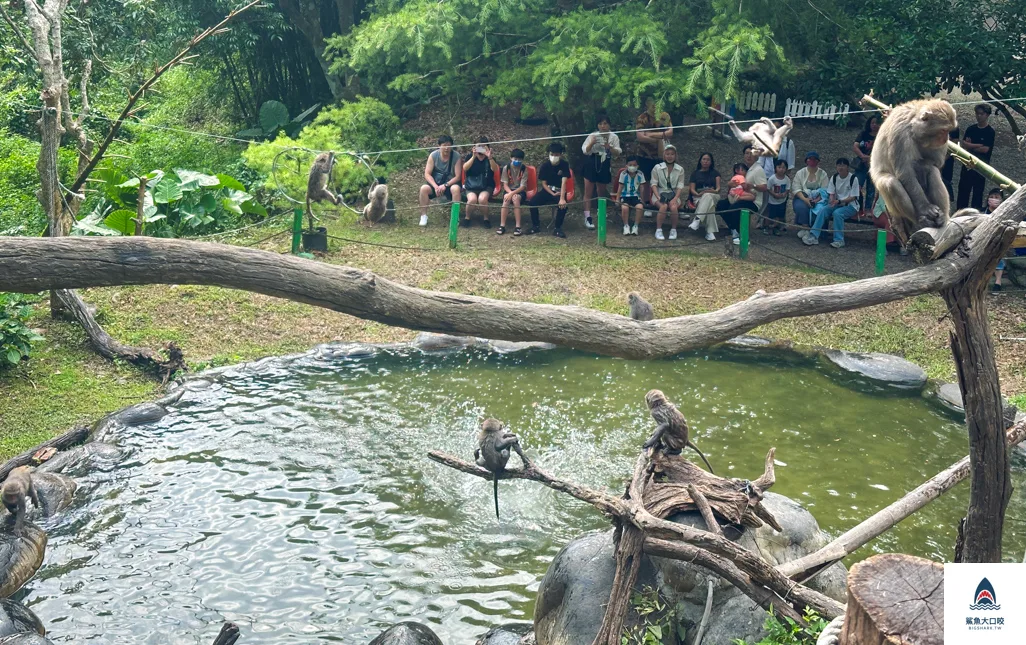 台中親子景點,郭叔叔獼猴生態區,大坑景點 @鯊魚大口咬 台中親子景點,郭叔叔獼猴生態區,大坑景點 @鯊魚大口咬
