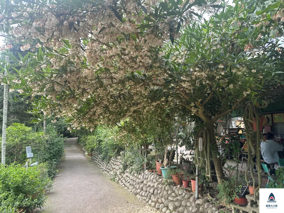 台中親子景點,郭叔叔獼猴生態區,大坑景點 @鯊魚大口咬 台中親子景點,郭叔叔獼猴生態區,大坑景點 @鯊魚大口咬