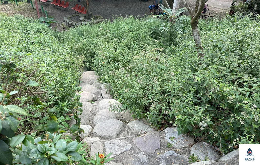 台中親子景點,郭叔叔獼猴生態區,大坑景點 @鯊魚大口咬