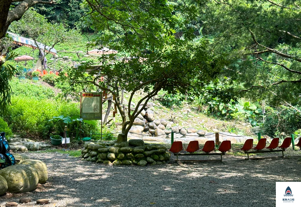 台中親子景點,郭叔叔獼猴生態區,大坑景點 @鯊魚大口咬 台中親子景點,郭叔叔獼猴生態區,大坑景點 @鯊魚大口咬