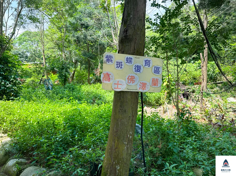 台中親子景點,郭叔叔獼猴生態區,大坑景點 @鯊魚大口咬 台中親子景點,郭叔叔獼猴生態區,大坑景點 @鯊魚大口咬