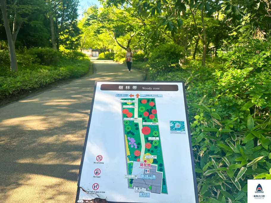 姬路城景點,姬路好古園,關西自由行,神戶景點 @鯊魚大口咬