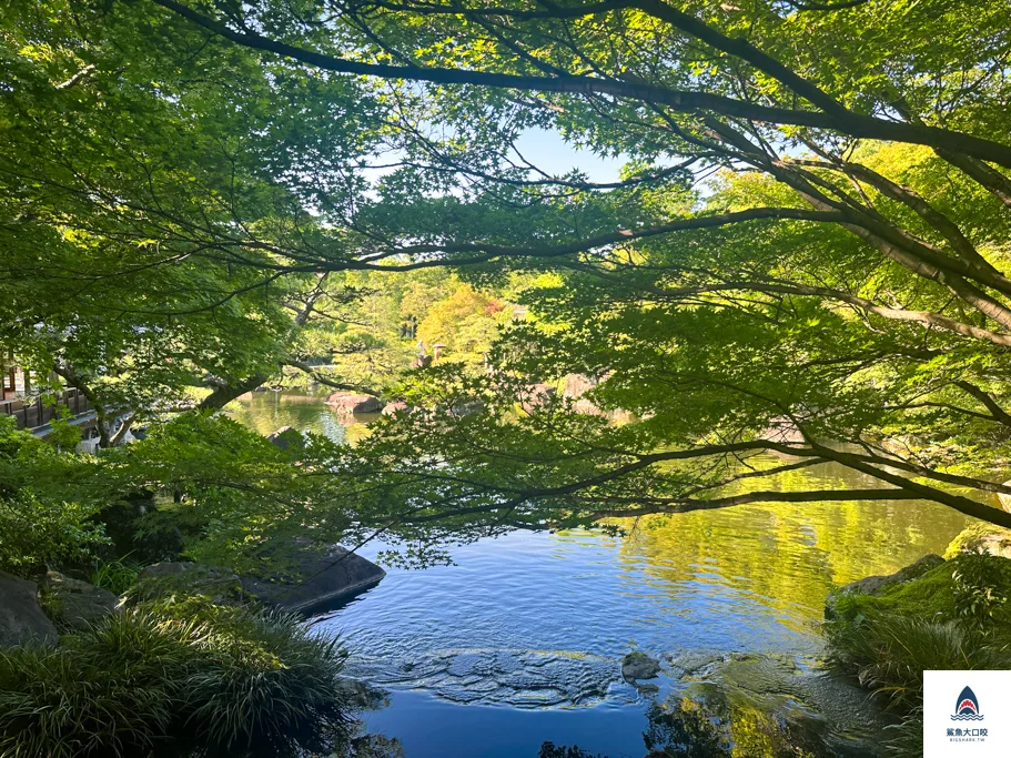 姬路城景點,姬路好古園,關西自由行,神戶景點 @鯊魚大口咬