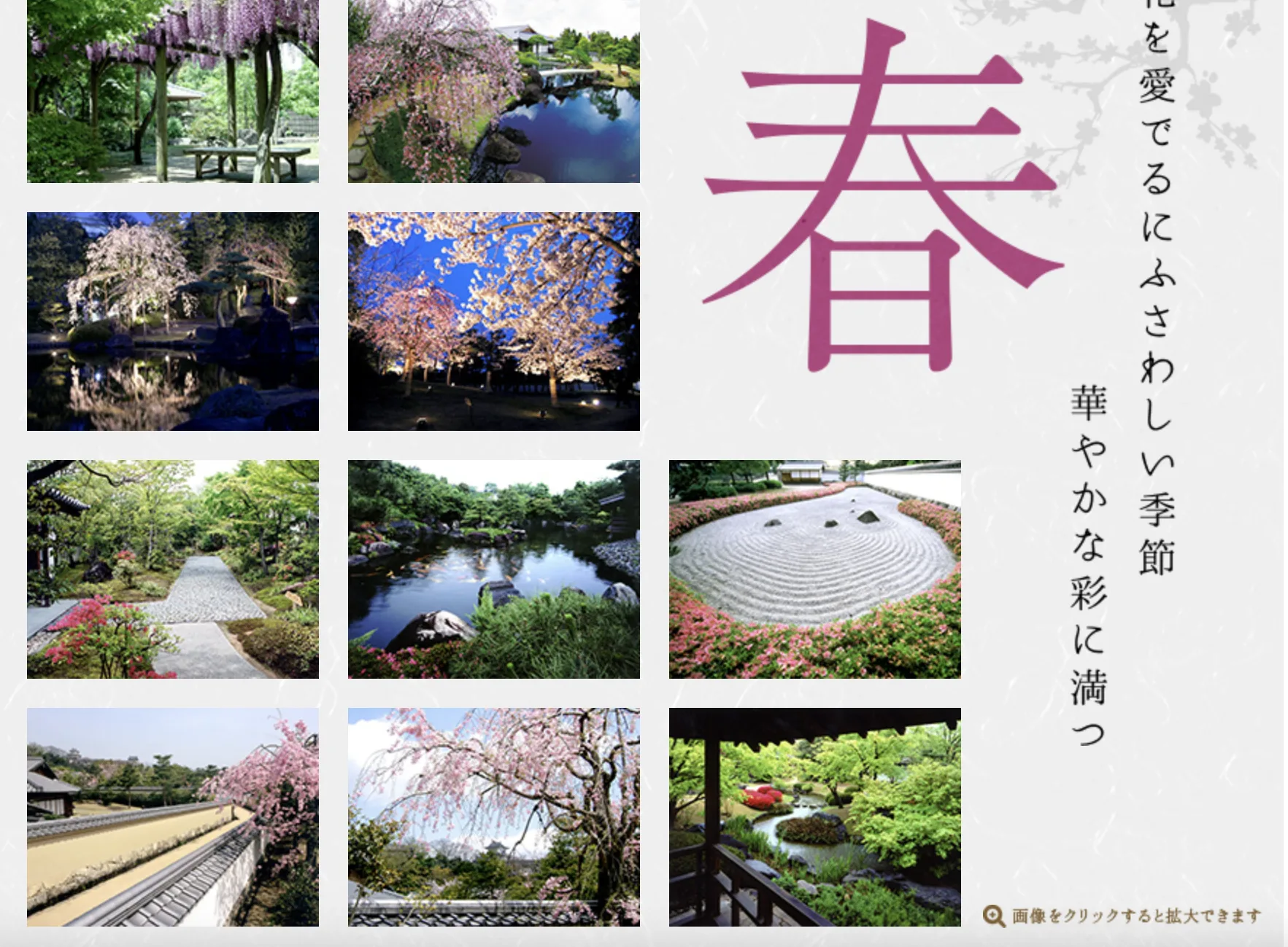 姬路城景點,姬路好古園,關西自由行,神戶景點 @鯊魚大口咬