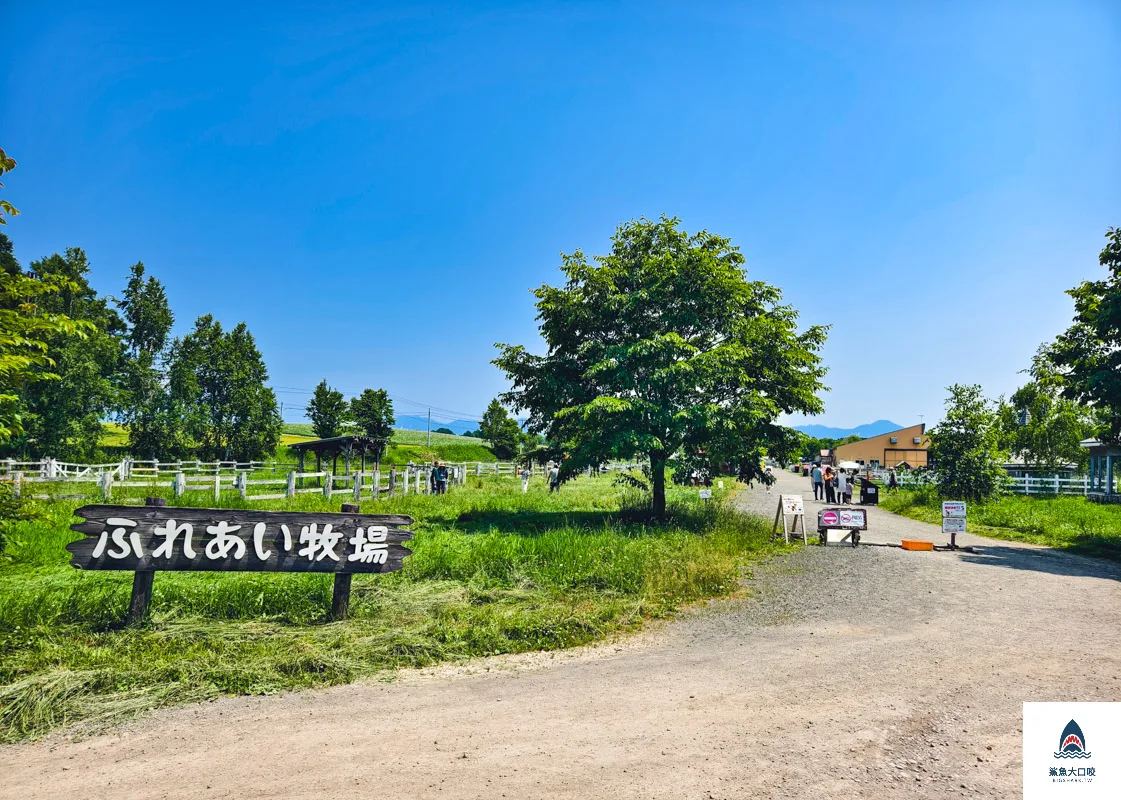千代田牧場,富良野千代田牧場,美瑛千代田牧場,北海道千代田牧場 @鯊魚大口咬