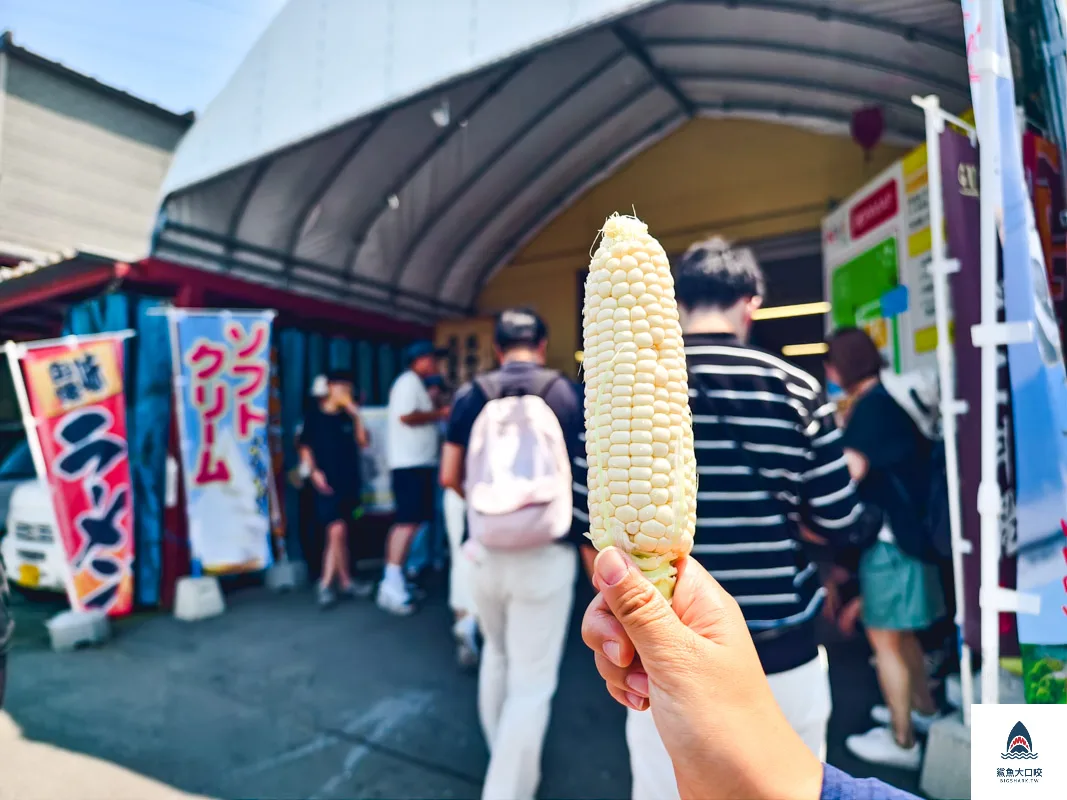四季彩之丘開放時間,四季彩之丘,四季彩之丘門票 @鯊魚大口咬 四季彩之丘開放時間,四季彩之丘,四季彩之丘門票 @鯊魚大口咬