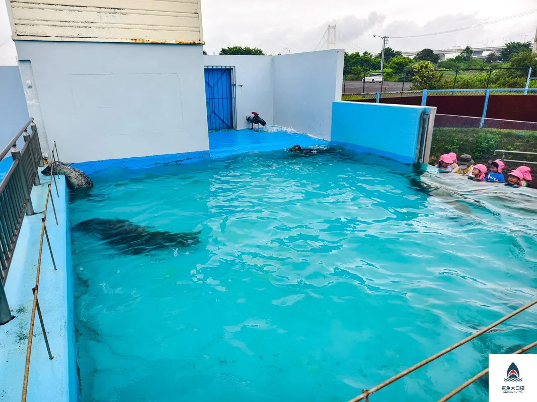 室蘭水族館,北海道水族館,室蘭水族館門票,室蘭水族館企鵝,室蘭水族館海豹 @鯊魚大口咬
