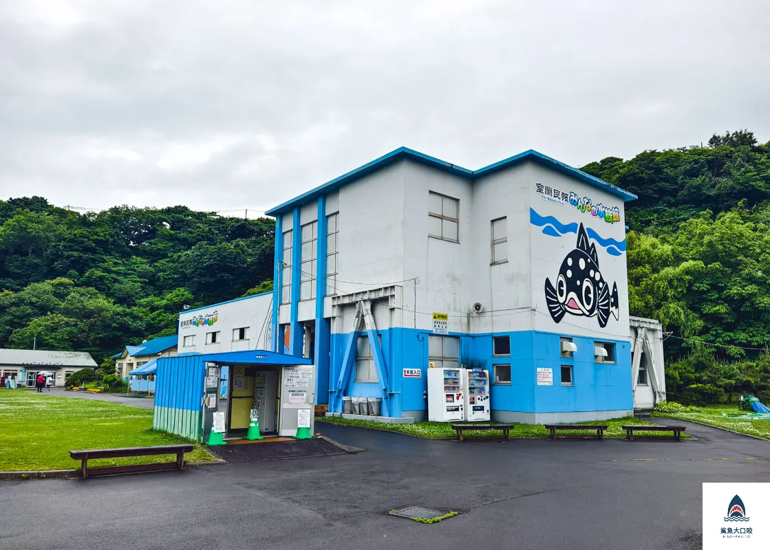 室蘭水族館,北海道水族館,室蘭水族館門票,室蘭水族館企鵝,室蘭水族館海豹 @鯊魚大口咬