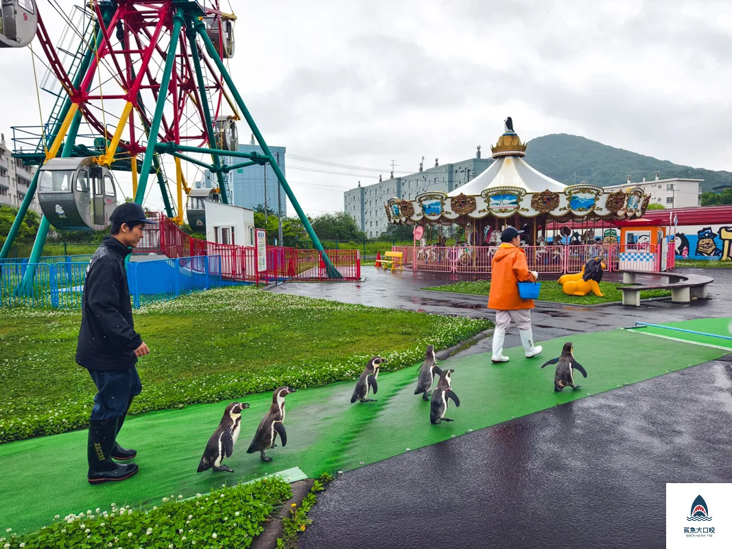 室蘭水族館,北海道水族館,室蘭水族館門票,室蘭水族館企鵝,室蘭水族館海豹 @鯊魚大口咬