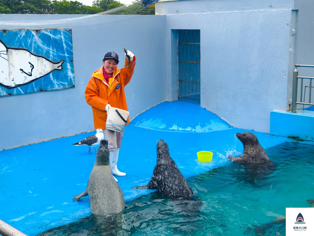 室蘭水族館,北海道水族館,室蘭水族館門票,室蘭水族館企鵝,室蘭水族館海豹 @鯊魚大口咬