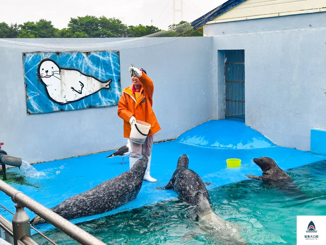 室蘭水族館,北海道水族館,室蘭水族館門票,室蘭水族館企鵝,室蘭水族館海豹 @鯊魚大口咬 室蘭水族館,北海道水族館,室蘭水族館門票,室蘭水族館企鵝,室蘭水族館海豹 @鯊魚大口咬