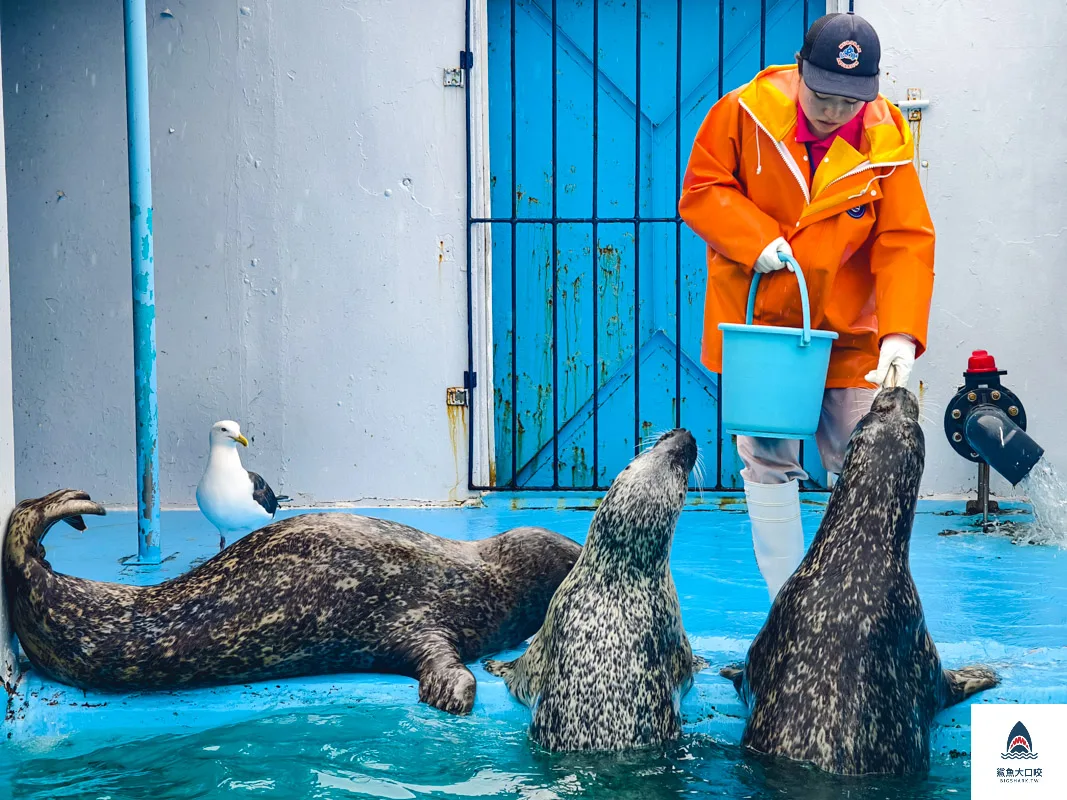 室蘭水族館,北海道水族館,室蘭水族館門票,室蘭水族館企鵝,室蘭水族館海豹 @鯊魚大口咬 室蘭水族館,北海道水族館,室蘭水族館門票,室蘭水族館企鵝,室蘭水族館海豹 @鯊魚大口咬