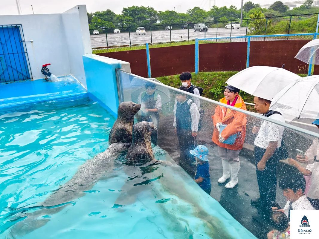 室蘭水族館,北海道水族館,室蘭水族館門票,室蘭水族館企鵝,室蘭水族館海豹 @鯊魚大口咬