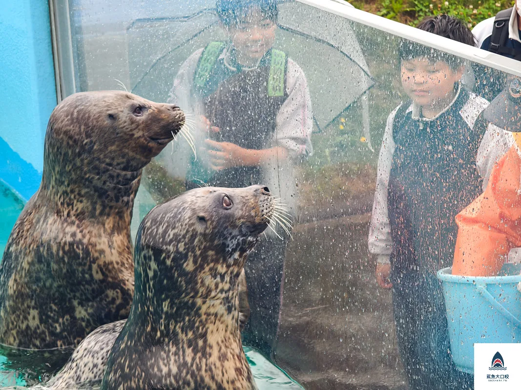 室蘭水族館,北海道水族館,室蘭水族館門票,室蘭水族館企鵝,室蘭水族館海豹 @鯊魚大口咬